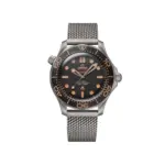 Omega Seamaster Ref# 210.90.42.20.01.001