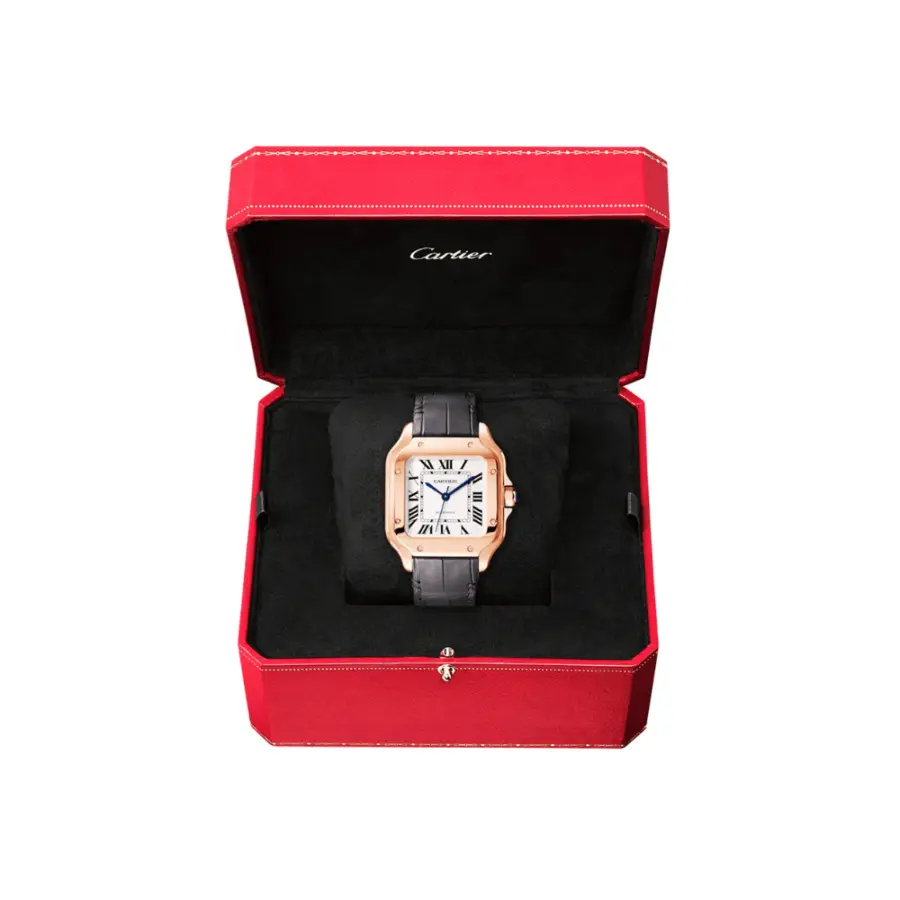 Cartier Santos de Cartier Large Automatic - Image 6