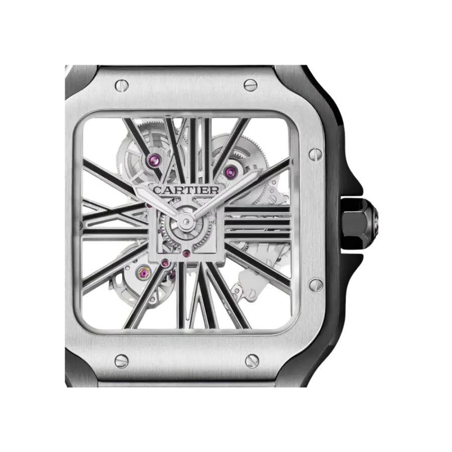 Santos de Cartier Large Skeleton ADLC - Image 2