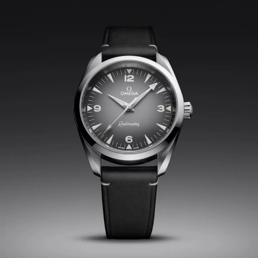 Seamaster Railmaster Ref. 235.12.38.20.06.001 - Image 3