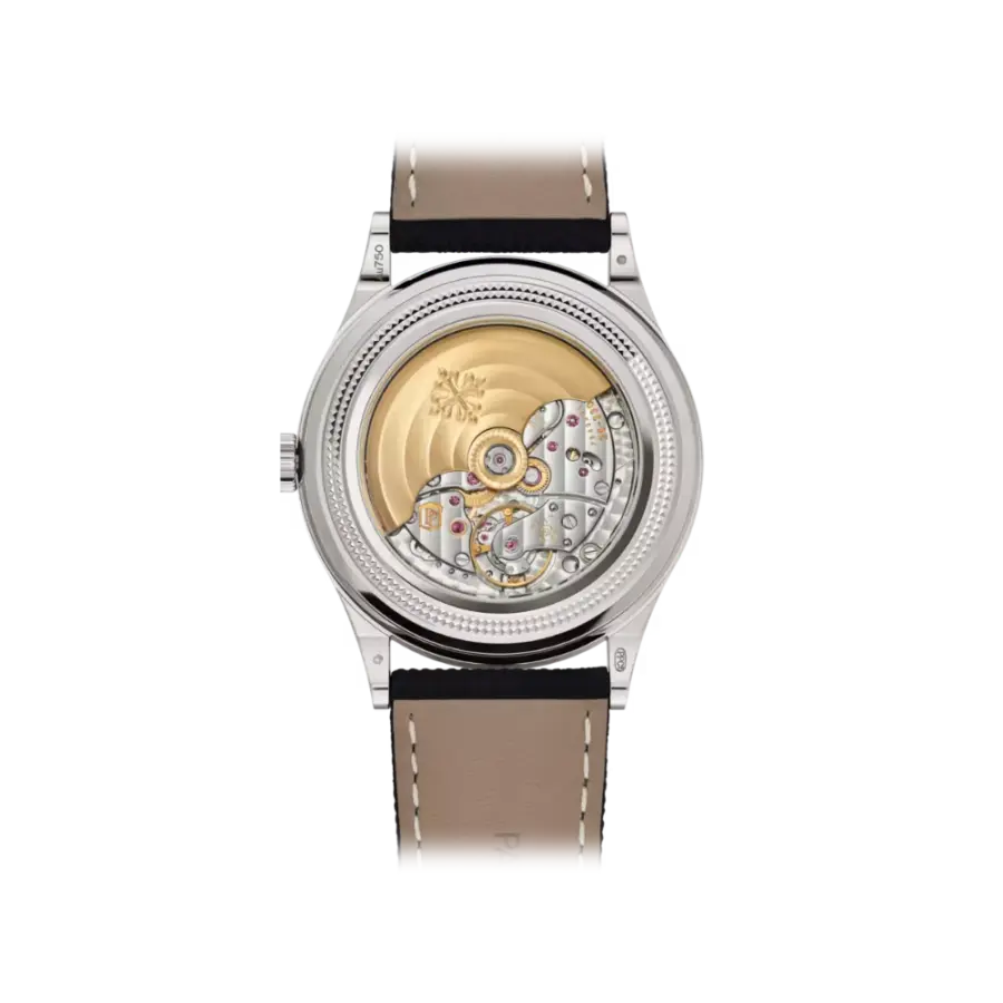 Grand Complications Ref. 6159G-001 Gold - Image 2
