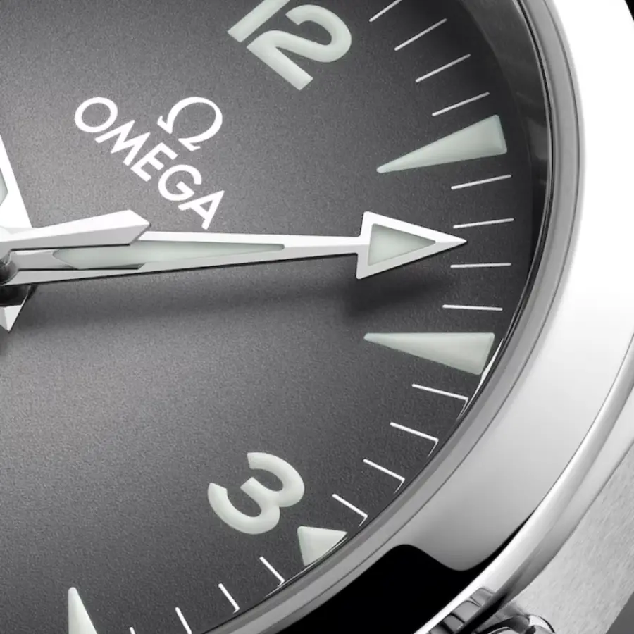 Seamaster Railmaster Ref. 235.12.38.20.06.001 - Image 2